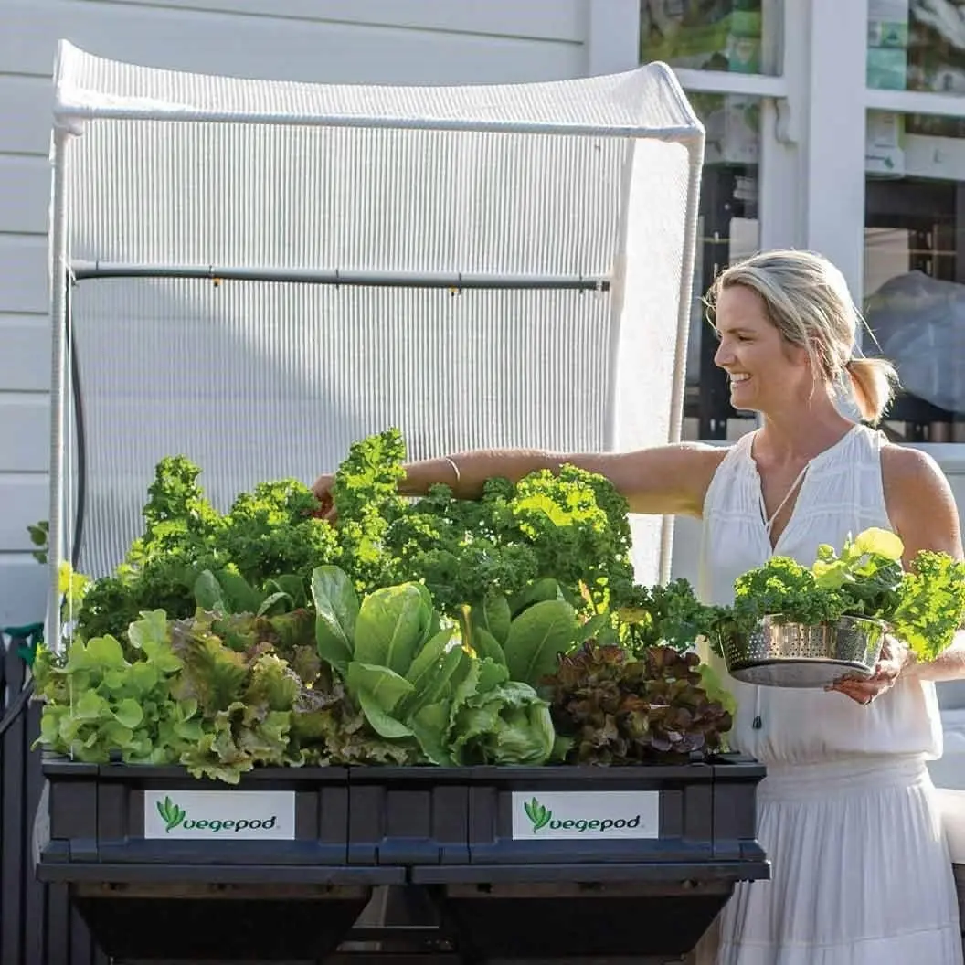 Medium Raised Garden Bed with VegeCover