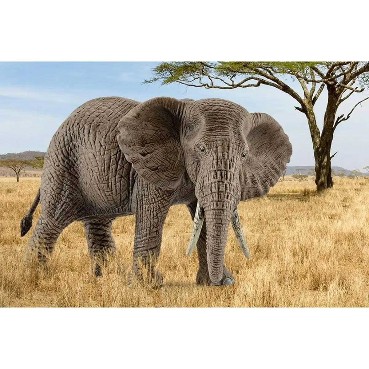 Schleich - African Elephant Female Figurine