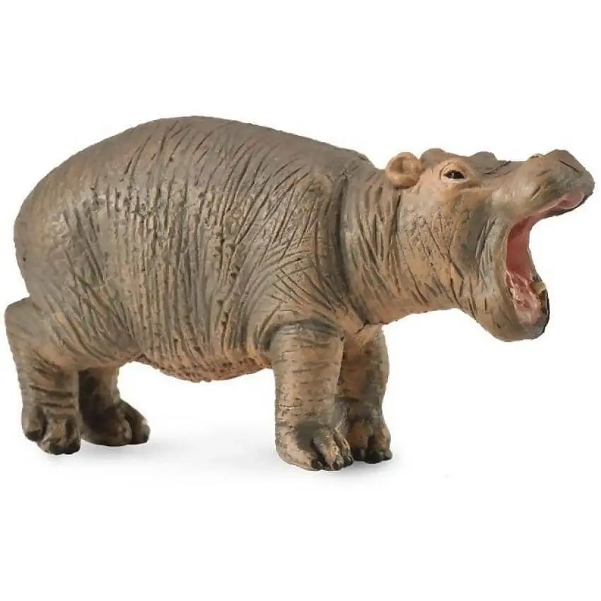 Collecta - Hippopotamus Calf Small Animal Figurine