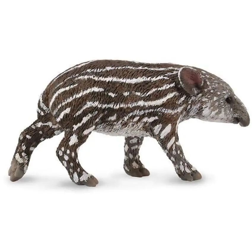 Collecta - Bairds Tapir Baby Small Wild Animal Figurine