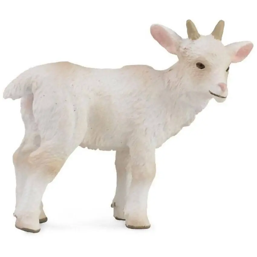 Collecta - Goat Kid Standing Small Animal Figurine