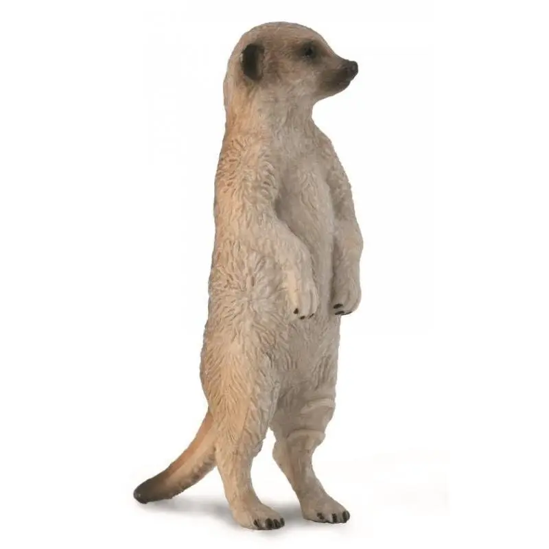 Collecta - Meerkat Small Animal Figurine