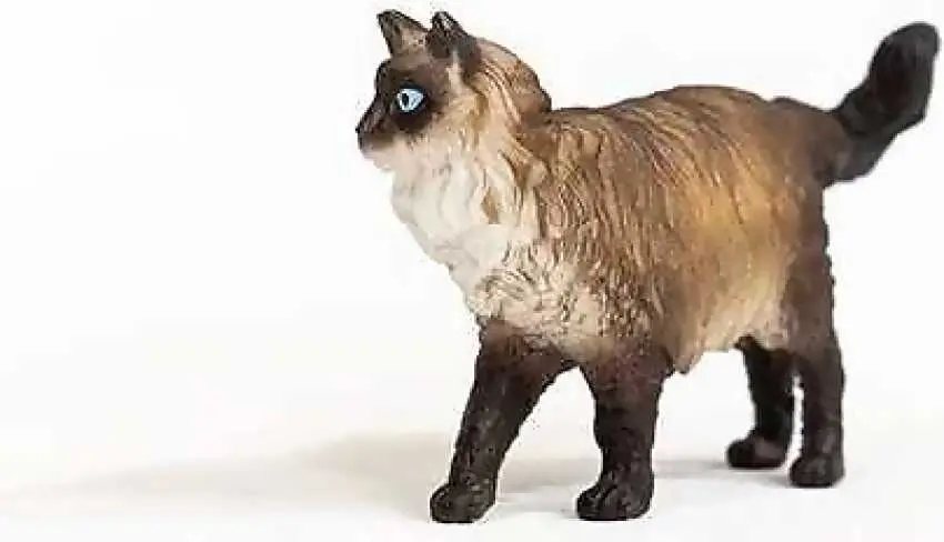 Schleich - Ragdoll Cat Figurine