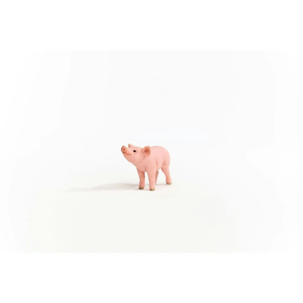 Schleich - Piglet Baby Pig Figurine