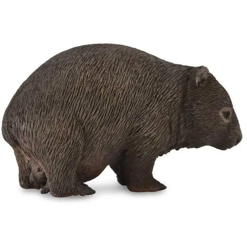 Collecta - Australian Wombat Medium Animal Figurine