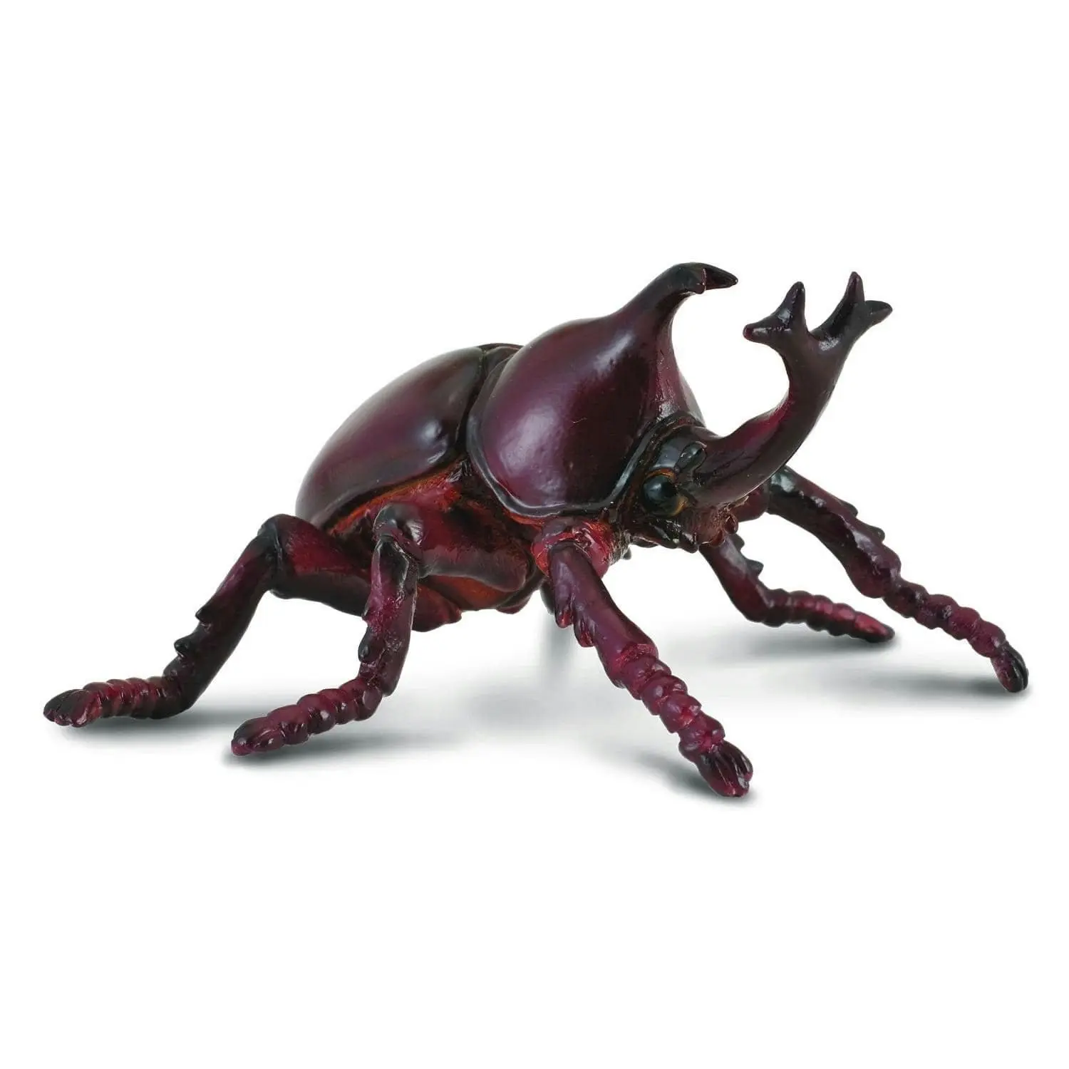 Collecta - Rhinoceros Beetle Animal Figurine