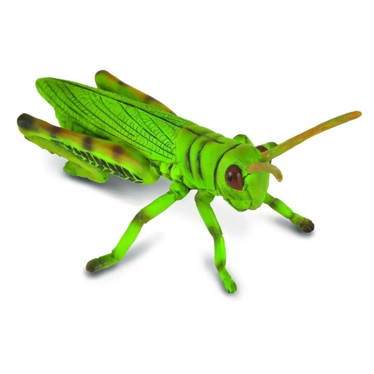 Collecta - Grasshopper Animal Figurine