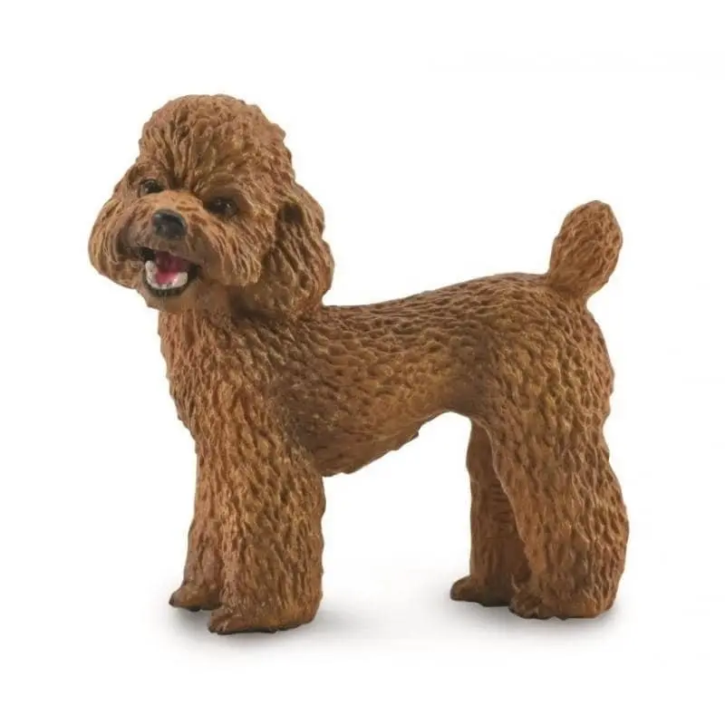 Collecta - Poodle Dog Animal Figurine