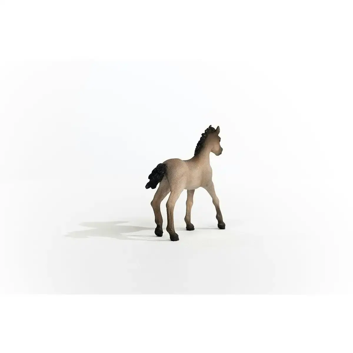 Schleich - Criollo Definitivo Foal Horse Figurine