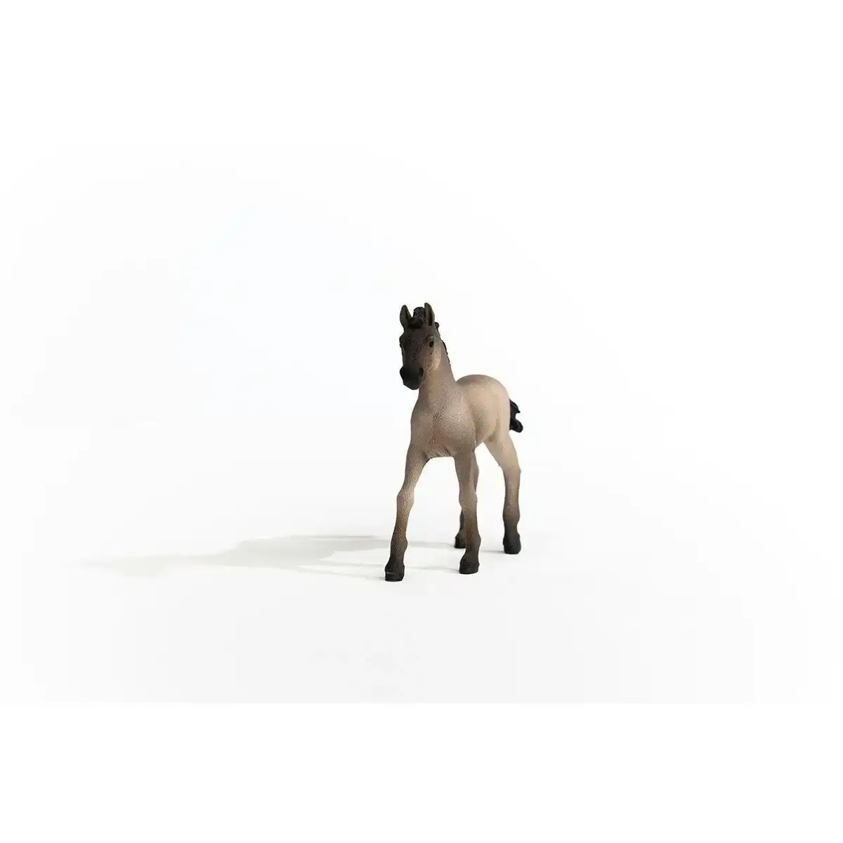 Schleich - Criollo Definitivo Foal Horse Figurine