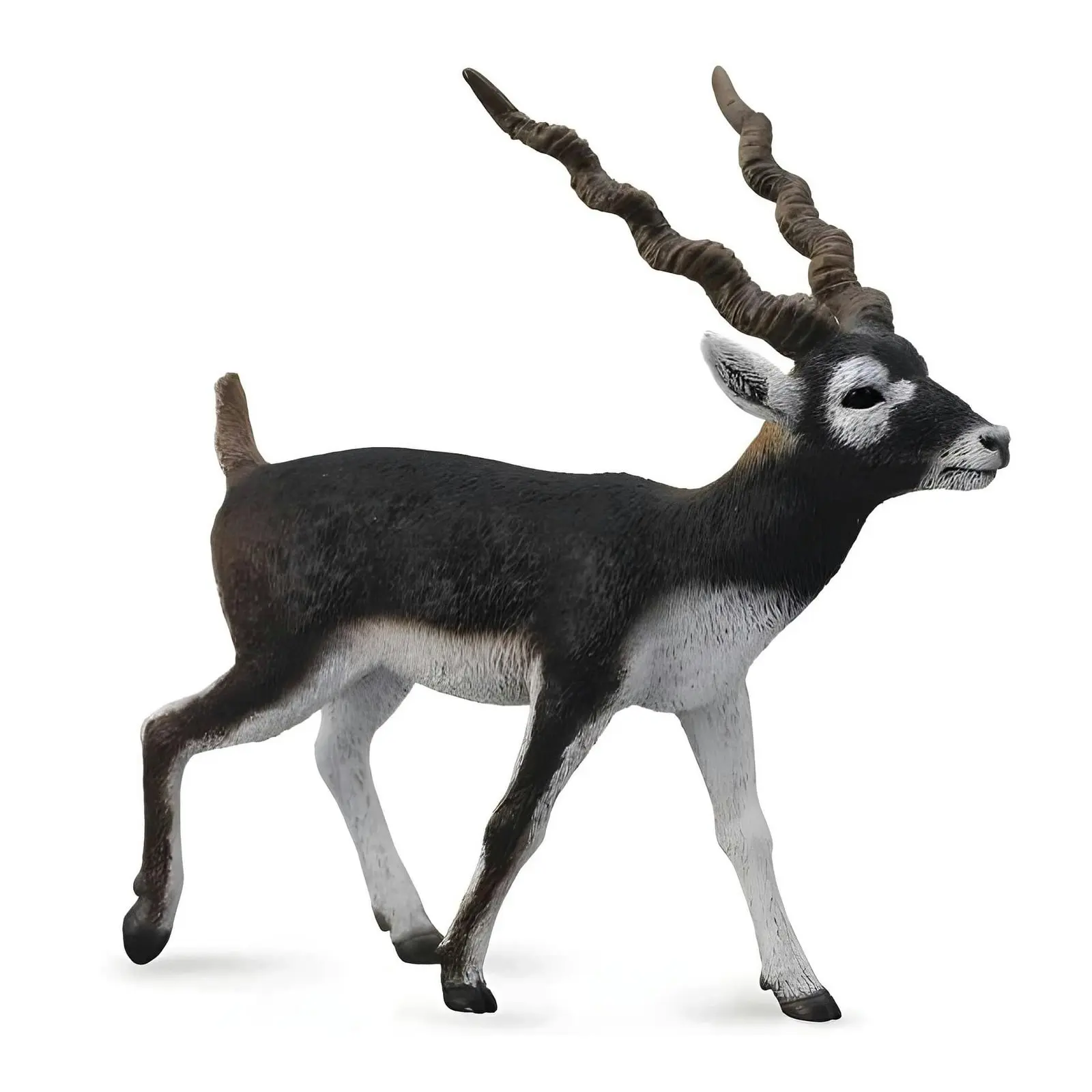 Collecta - Blackbuck Large Animal Figurine