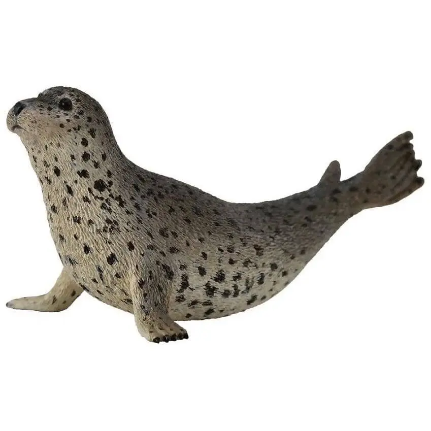 Collecta - Spotted Seal Large Animal Figurine