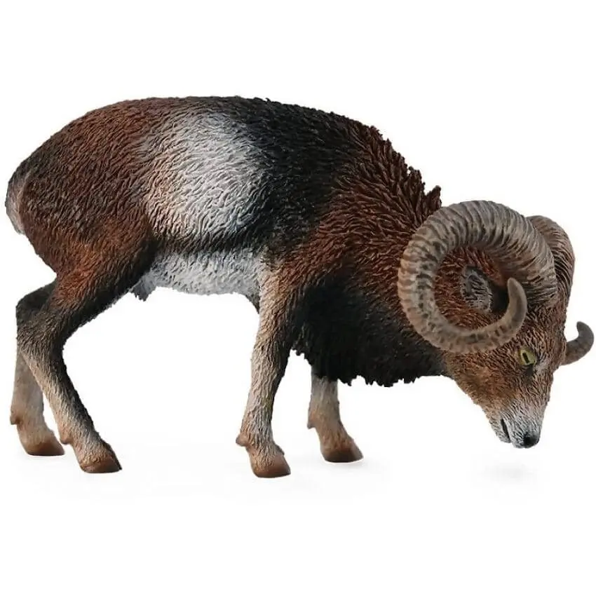 Collecta - European Mouflon Large Wild Animal Figurine