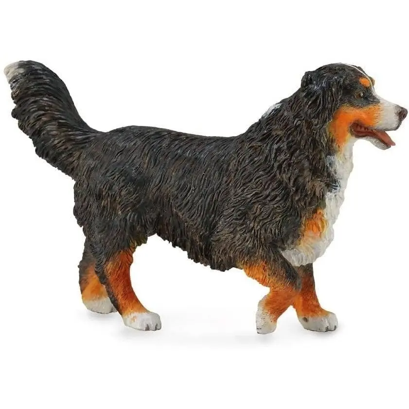 Collecta - Bernese Mountain Dog Figurine