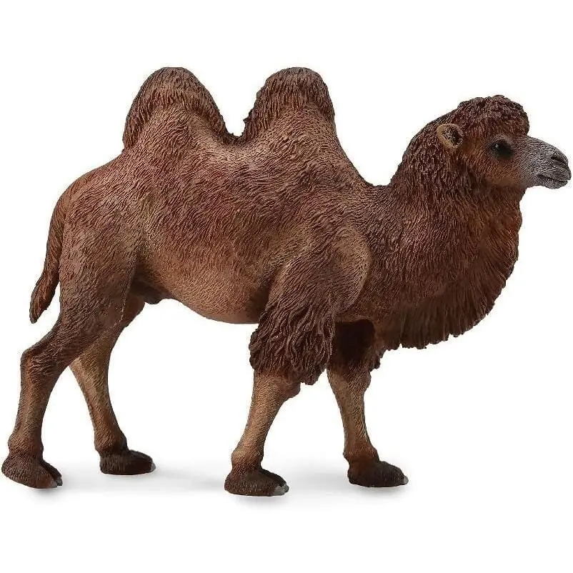 Collecta - Bactrian Camel Large Figurine