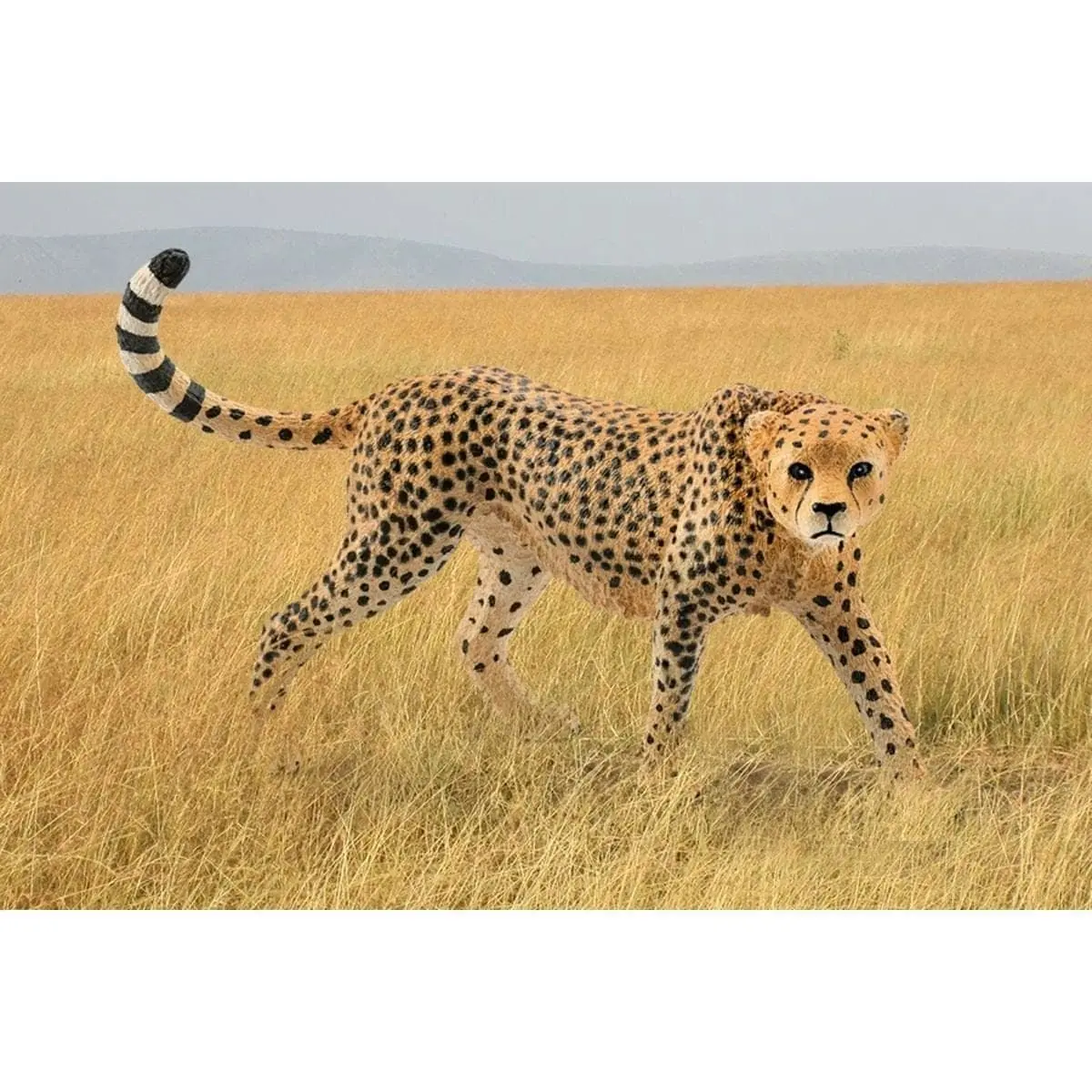 Schleich - Cheetah Female   Wildlife Animal Figurine