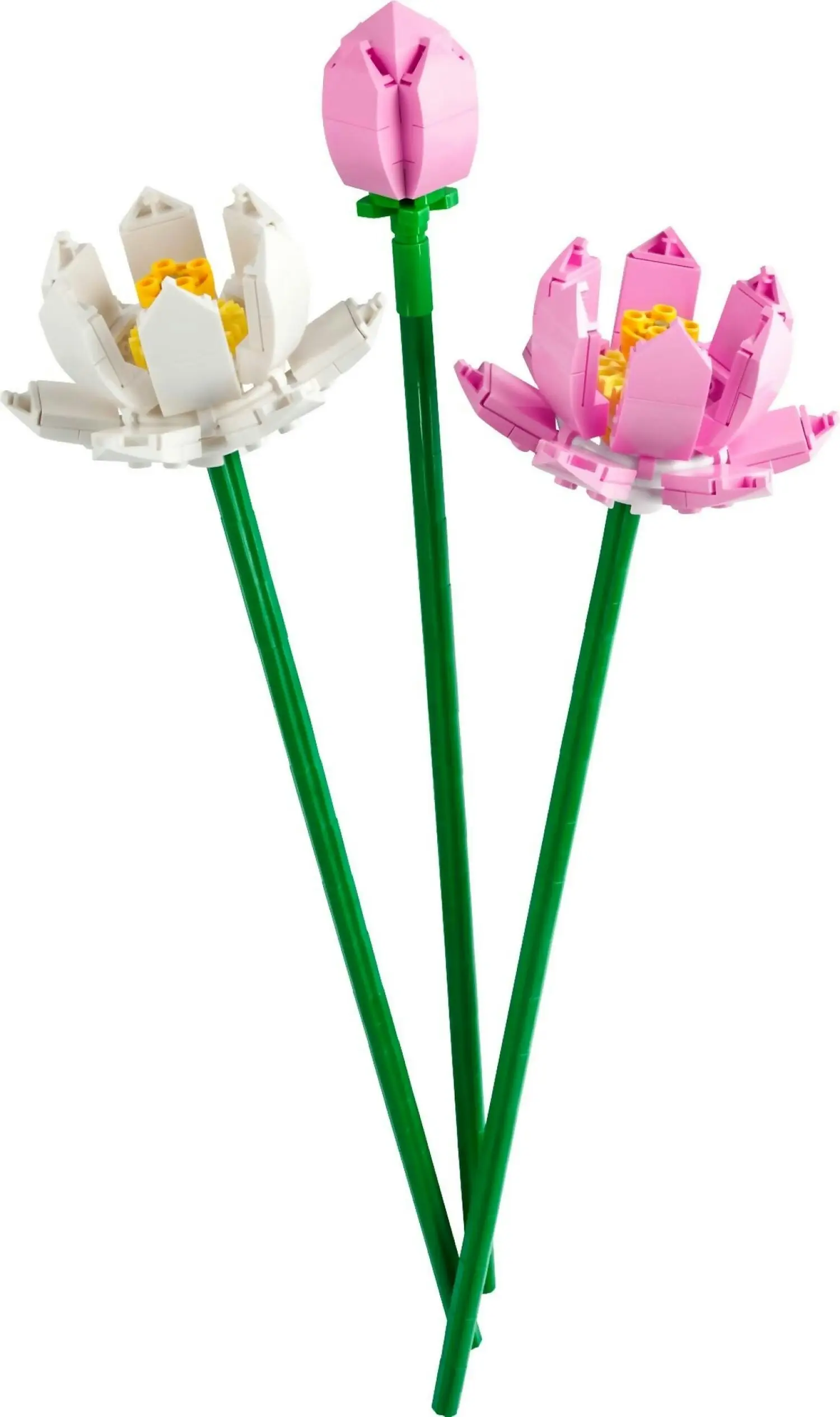 LEGO 40647 Lotus Flowers - Icons Botanical Collection