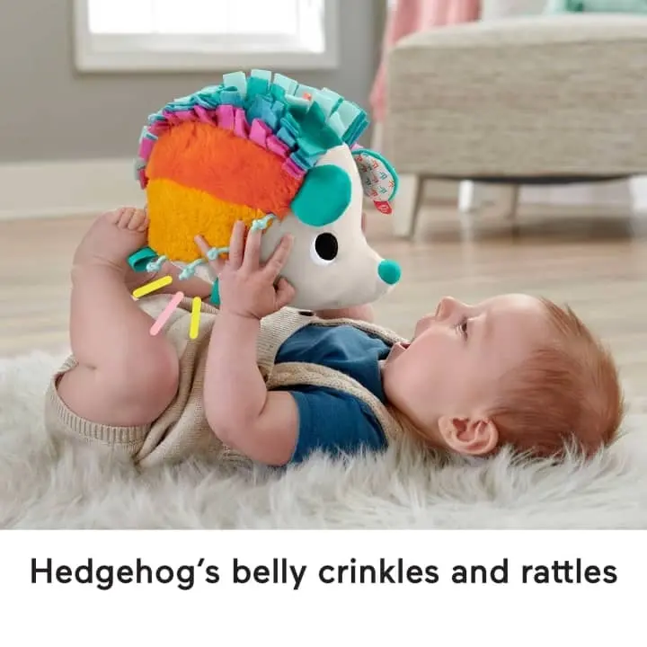 Fisher-Price - Cuddle N Snuggle Hedgehog Newborn Plush Toy