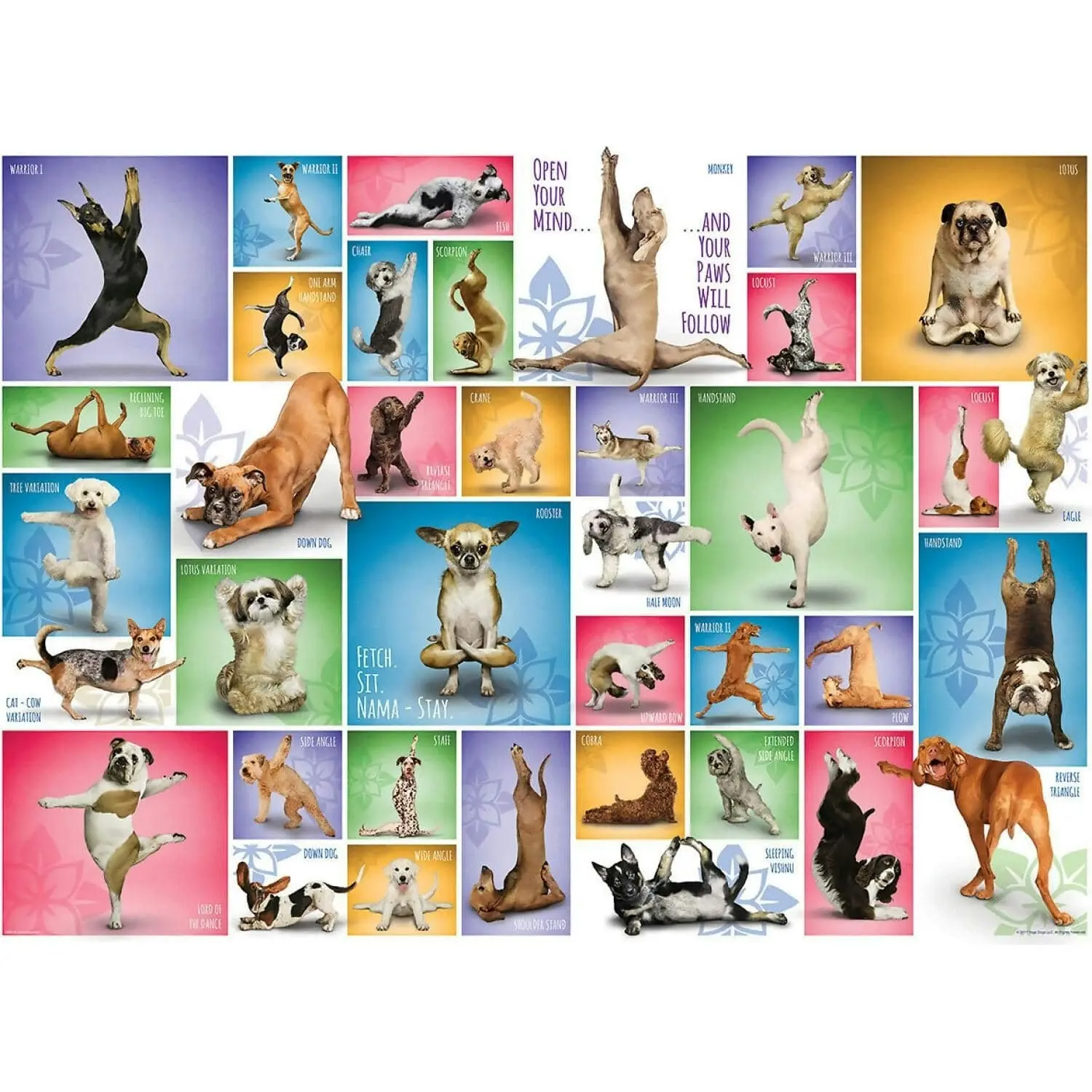 Eurographics - Yoga Dogs - Jigsaw Puzzle 1000pc