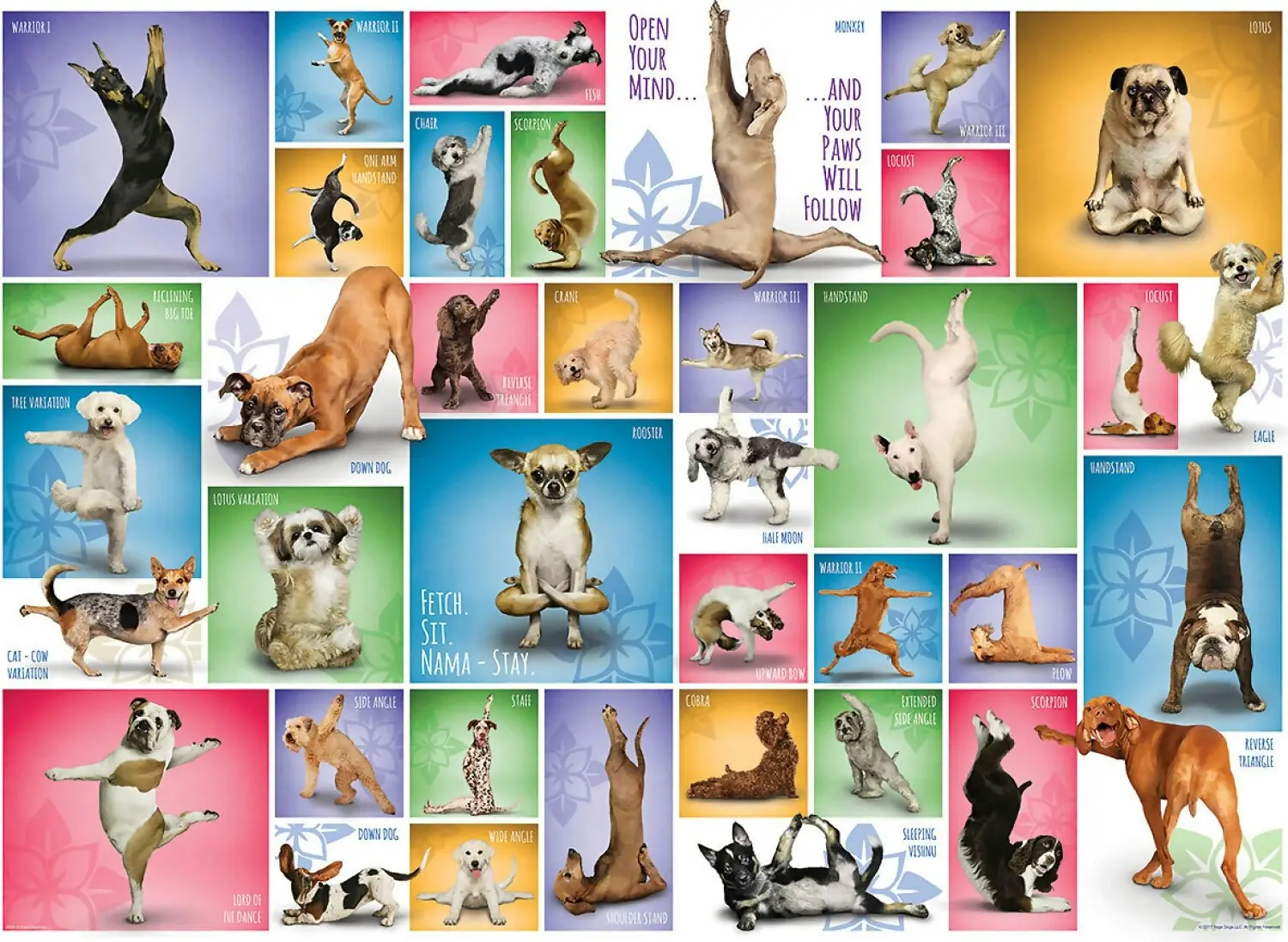 Eurographics - Yoga Dogs - Jigsaw Puzzle 1000pc