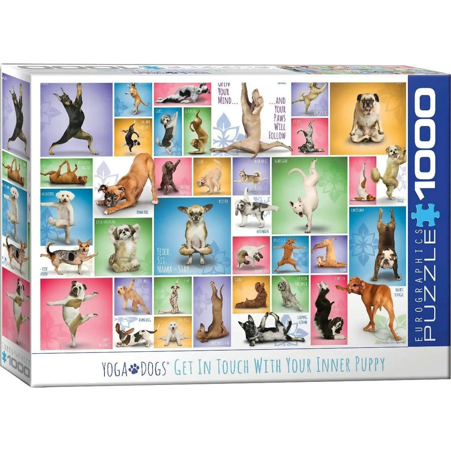 Eurographics - Yoga Dogs - Jigsaw Puzzle 1000pc