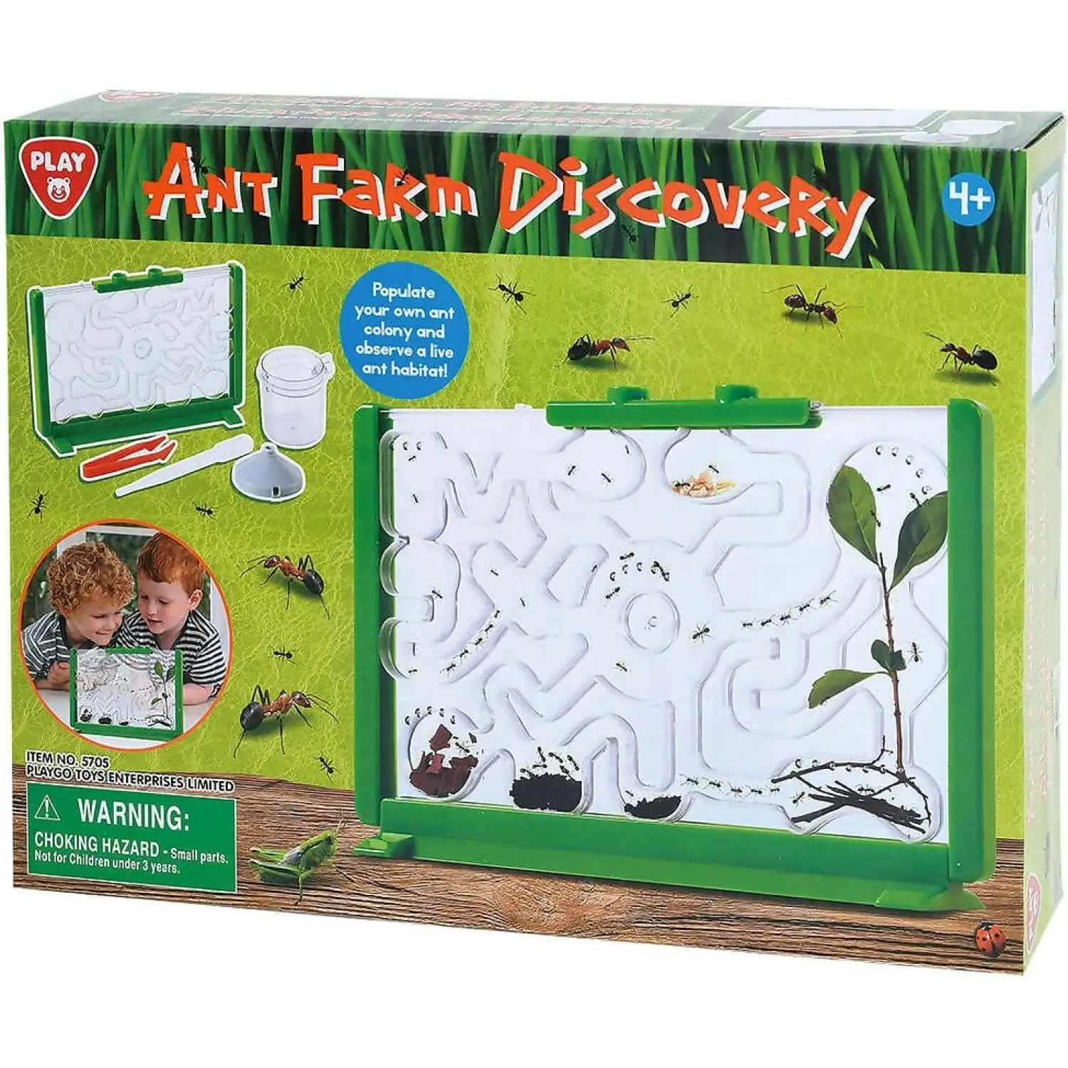 Playgo Toys Ent. Ltd. - Ant Farm Discovery