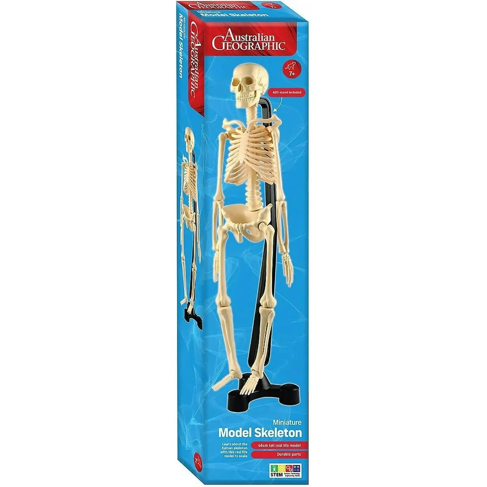 Australian Geographic - Mini Skeleton 46cm