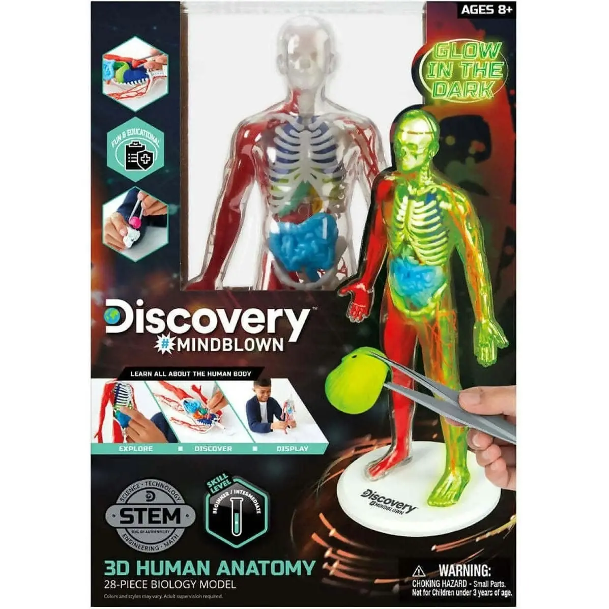 Discovery Mindblown 3d Human Anatomy 28-piece Biology Model