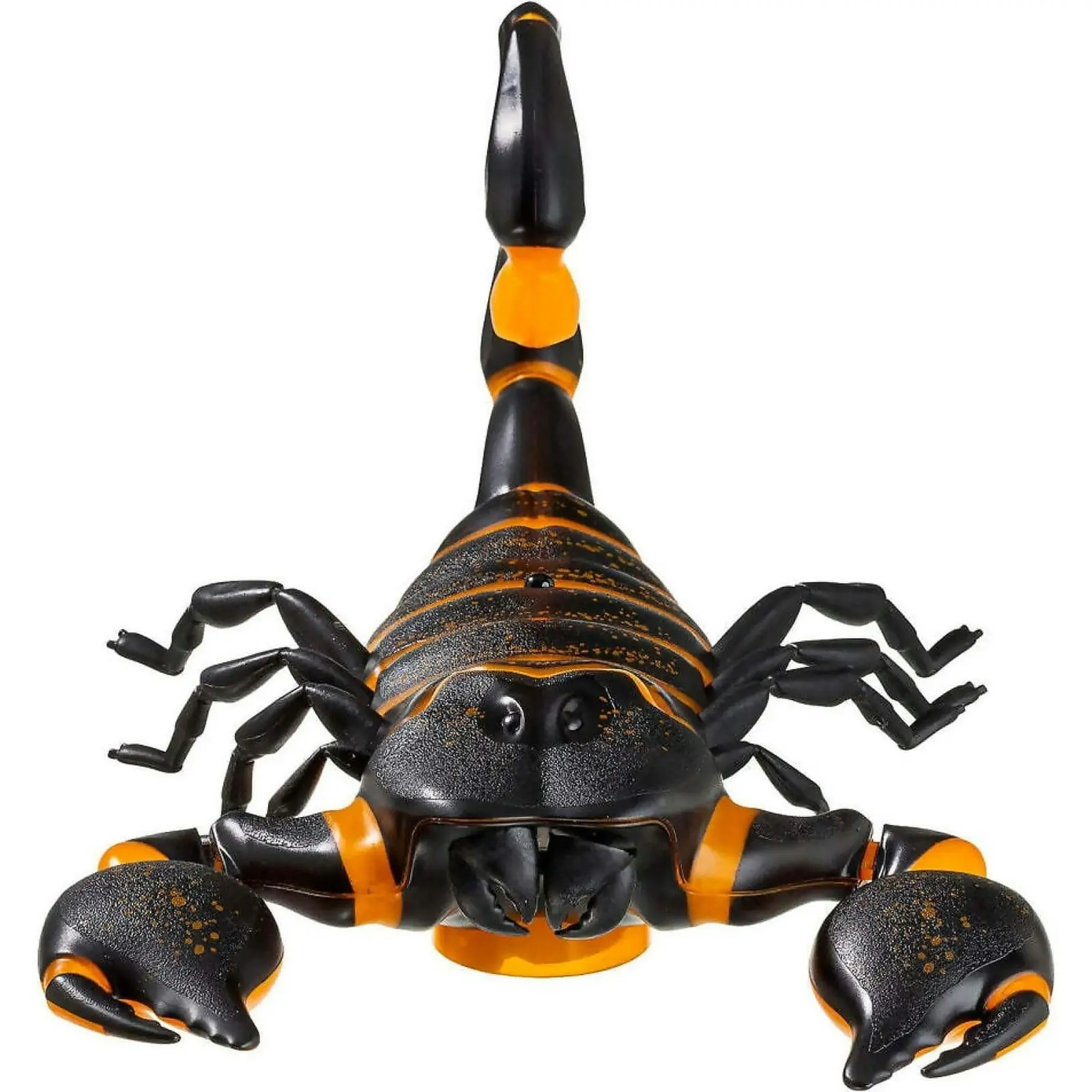 Remote Control Fire Scorpion With Led Lights