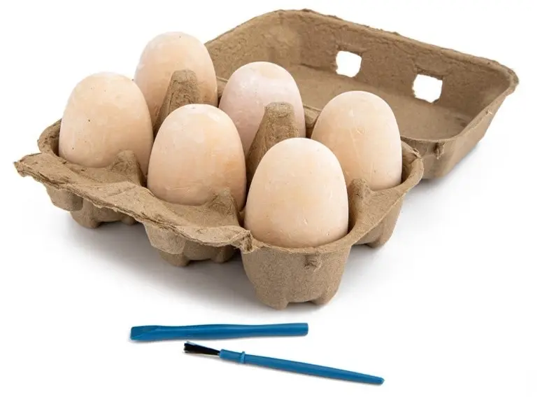 Discovery Dino Egg Crate 6pk