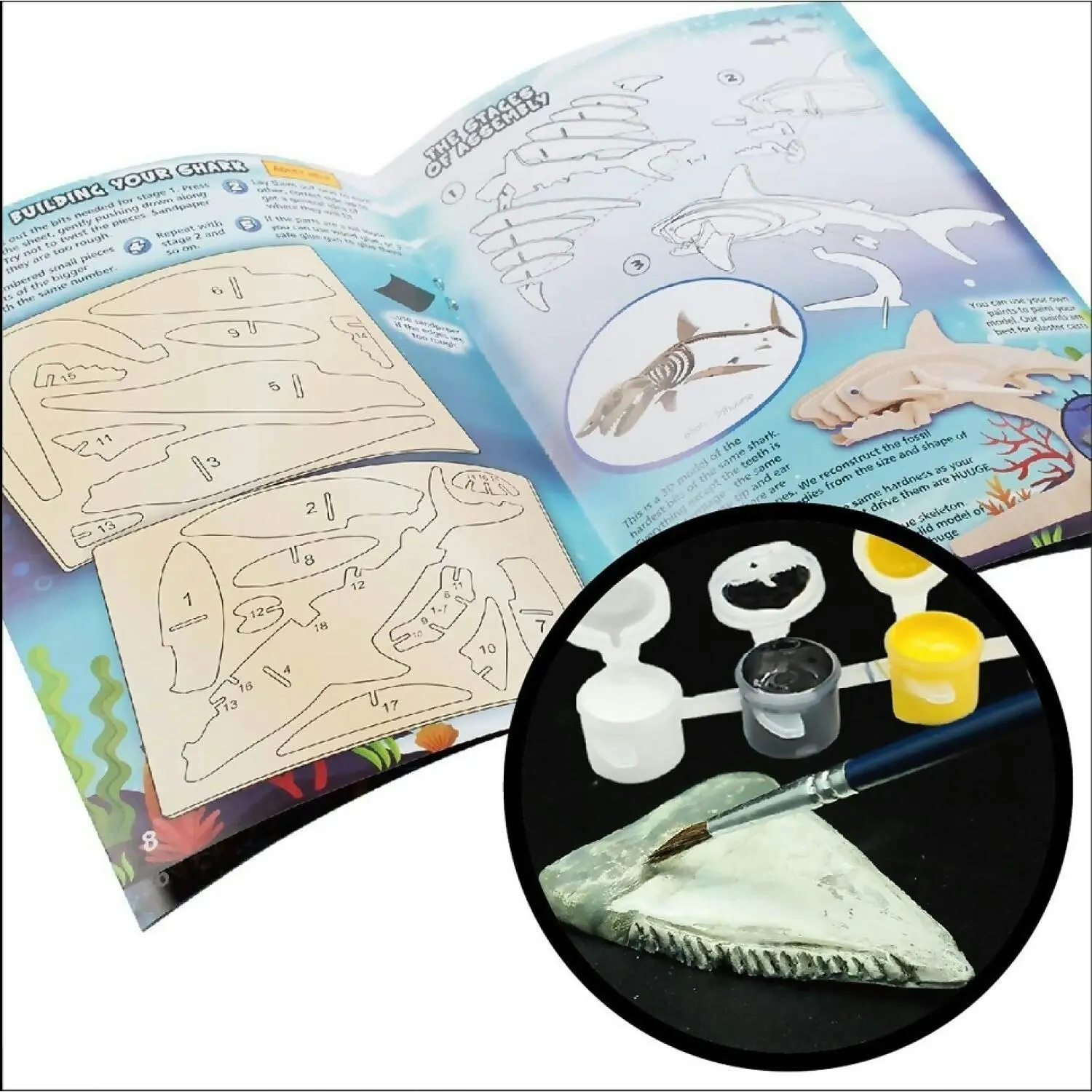 Australian Geographic - Sharks Of The World Kit