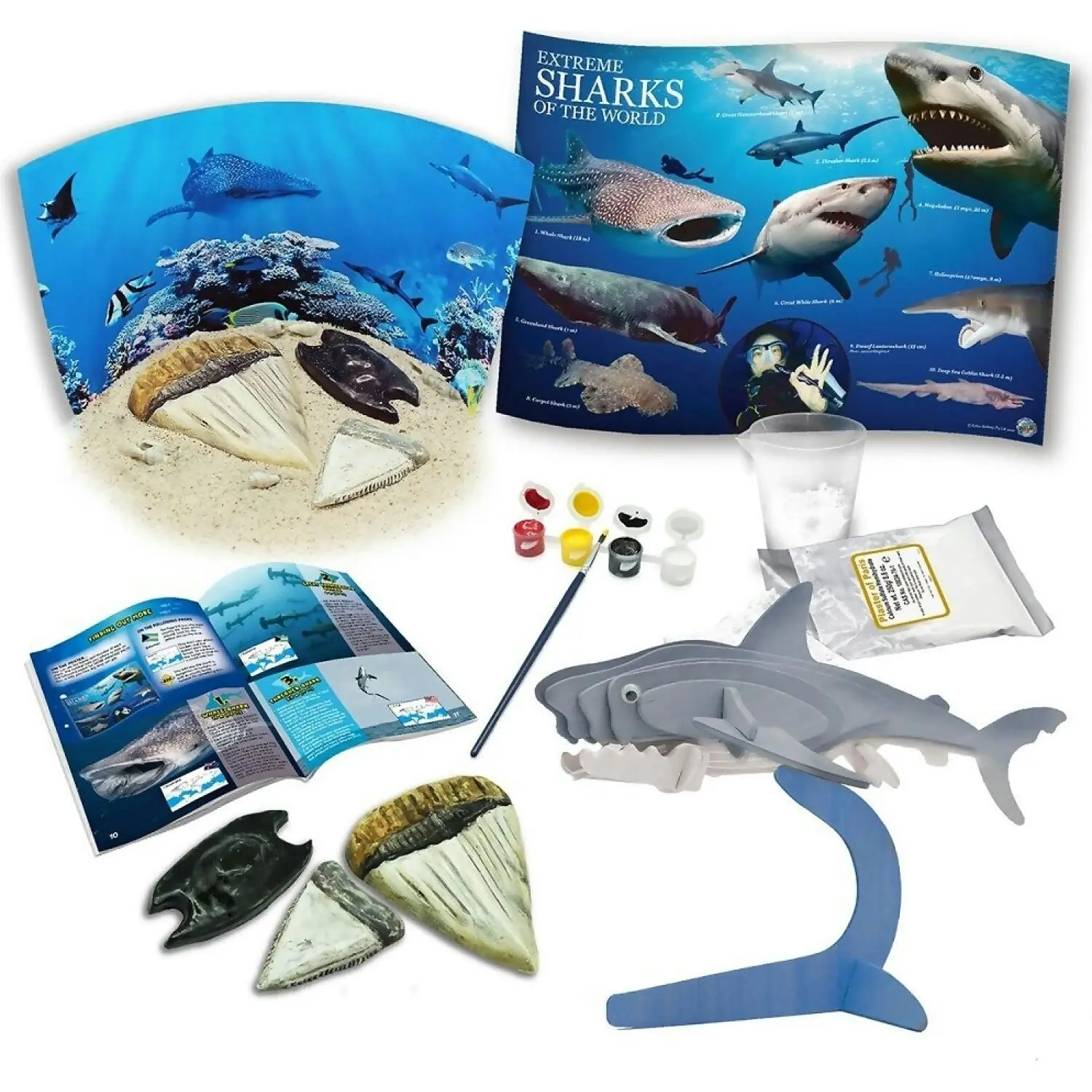 Australian Geographic - Sharks Of The World Kit