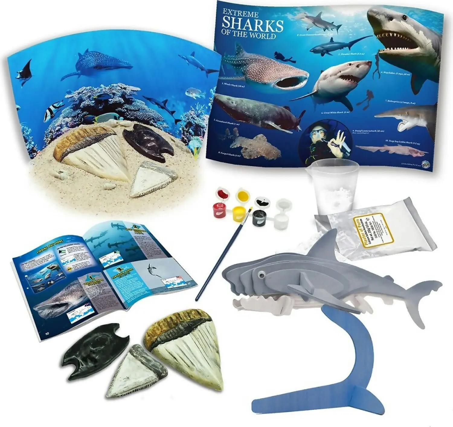 Australian Geographic - Sharks Of The World Kit