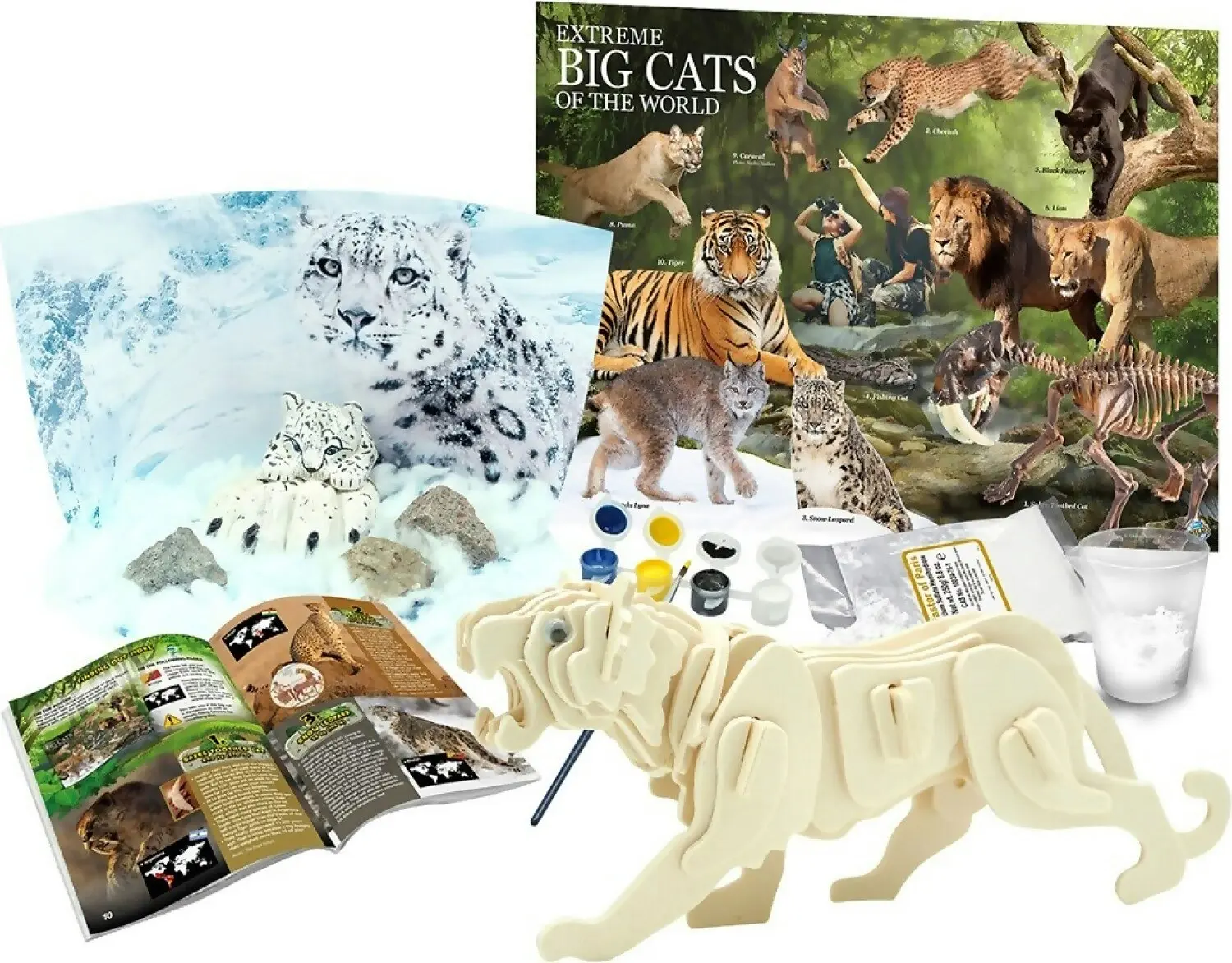 Australian Geographic - Big Cats Of The World Kit