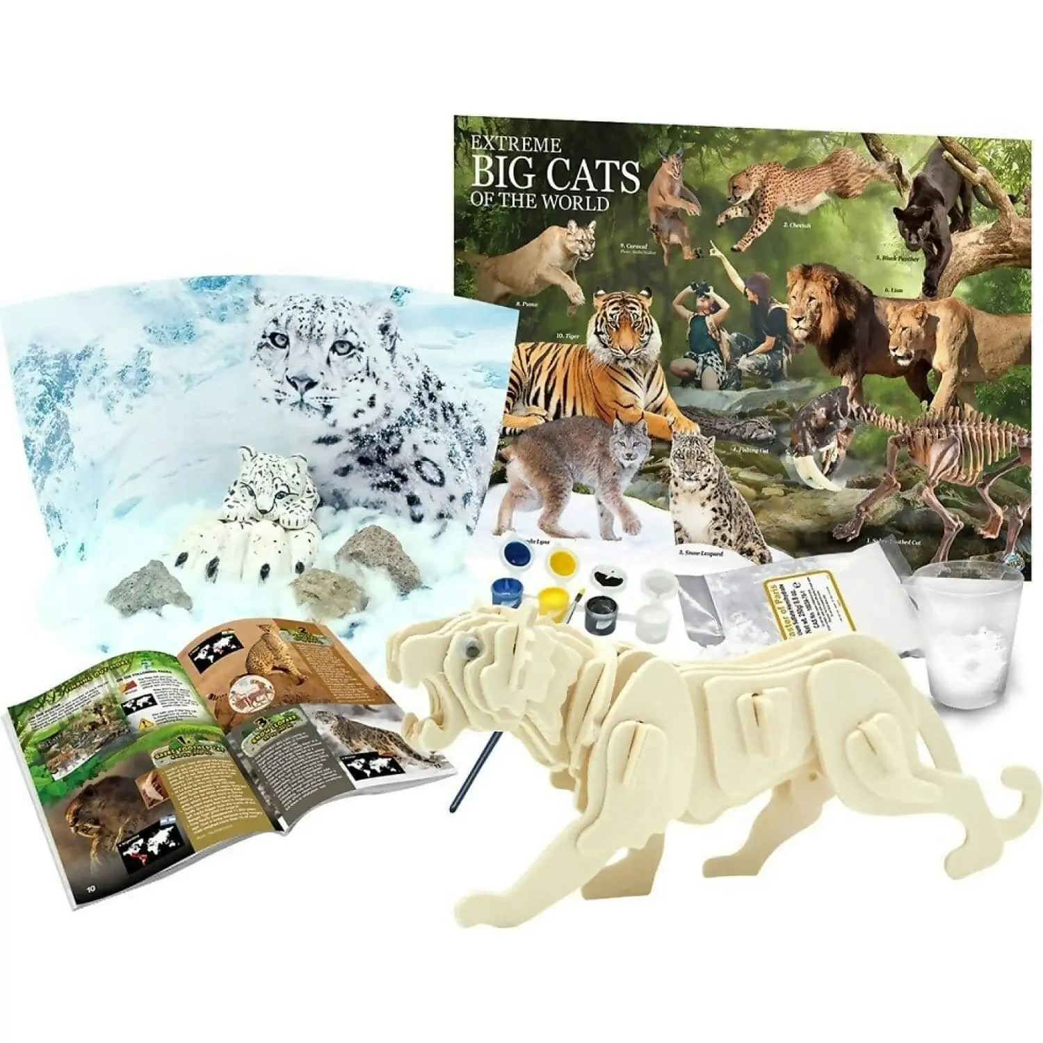 Australian Geographic - Big Cats Of The World Kit