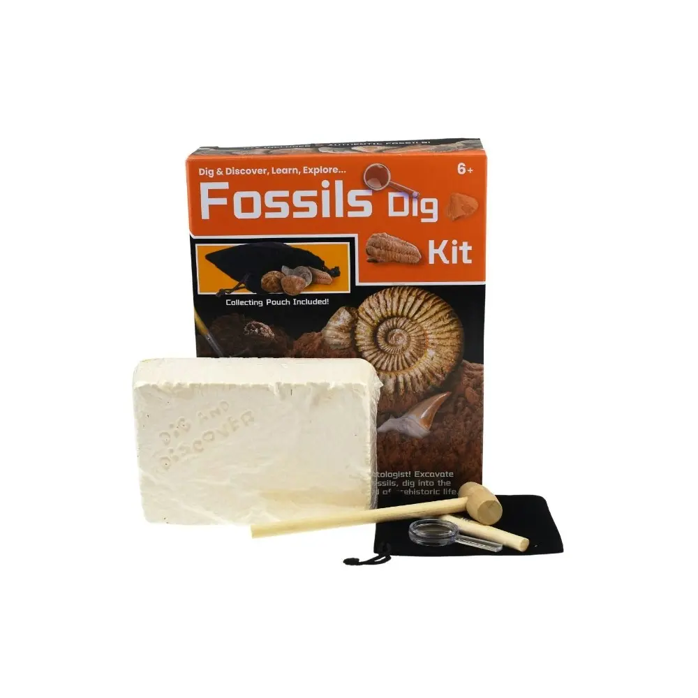 2PK Kaper Kidz Dig & Discover Fossils Dig Childrens Mining/Excavation Kit 6y+