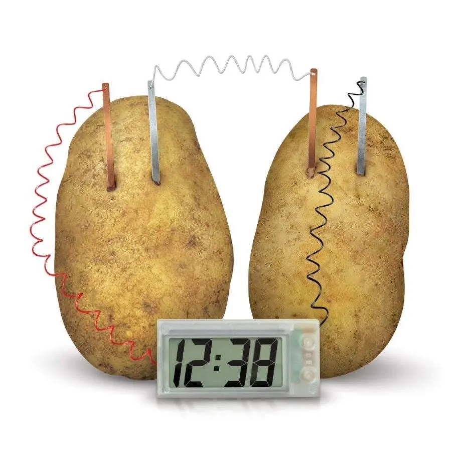 4M Green Science Potato Clock Educational Kids/Toddler Learning Activity Toy 8y+