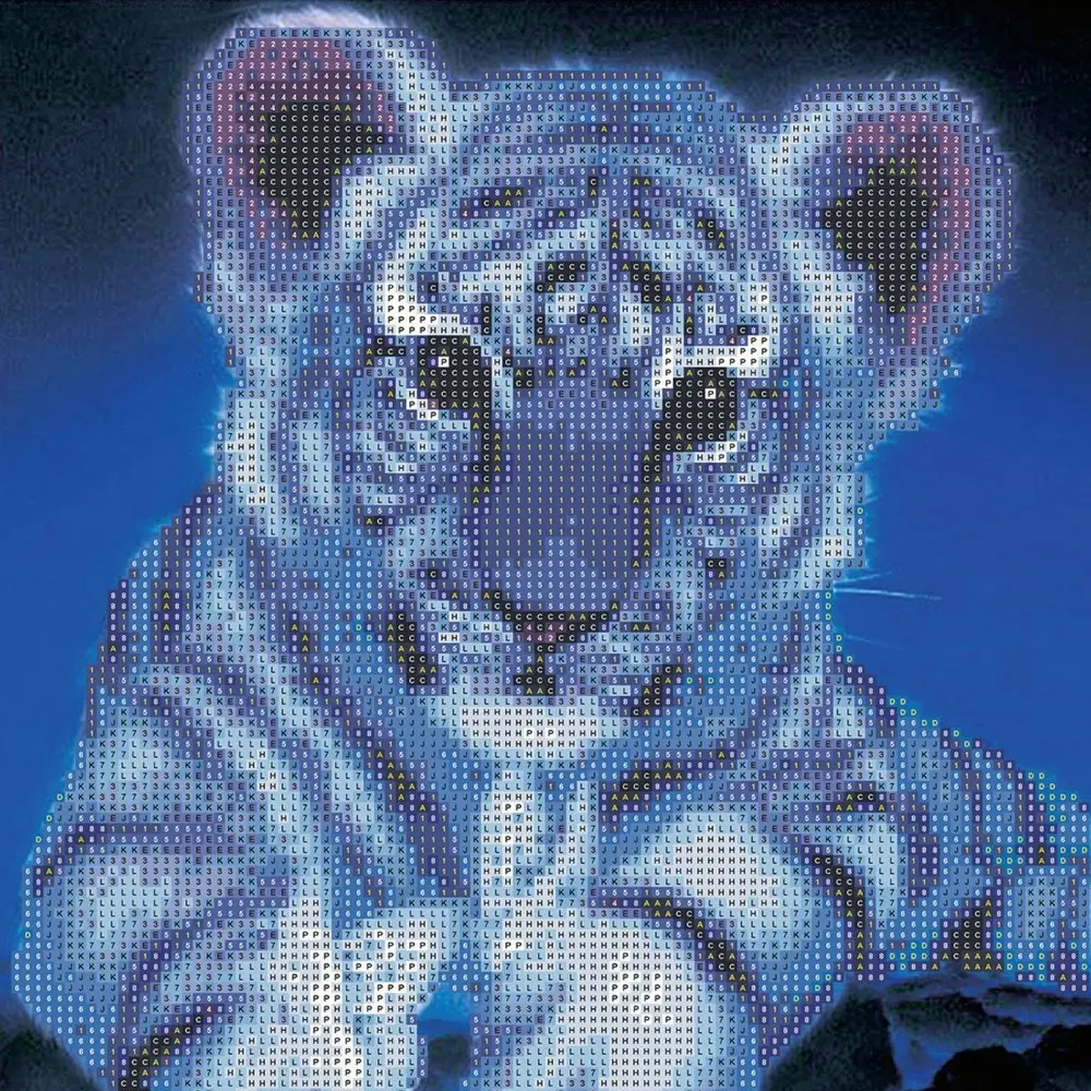 Junior Explorers Crystal Creations Canvas White Tiger Cub Art/Craft Painting