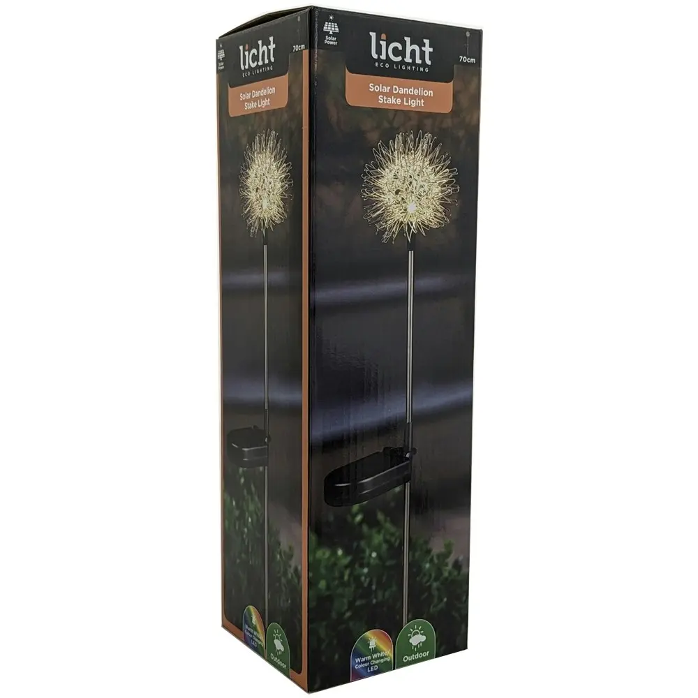 2PK Licht Eco Lighting Solar Dandelion Light Colour Changing Warm WHT LED 70cm