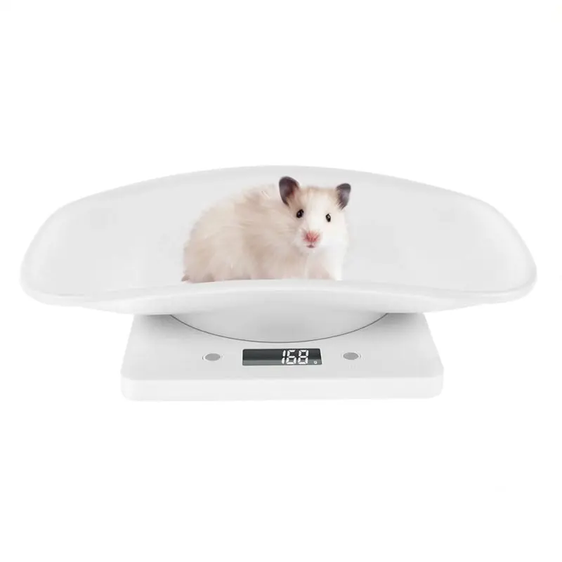 10Kg Digital LCD Pet Weight Scales for Efficient Management