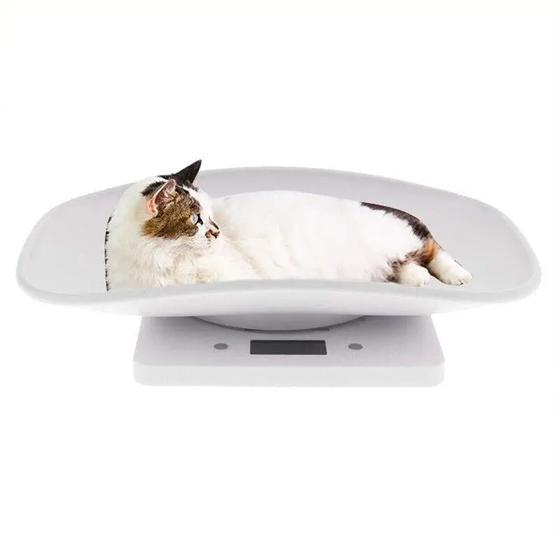 10Kg Digital LCD Pet Weight Scales for Efficient Management