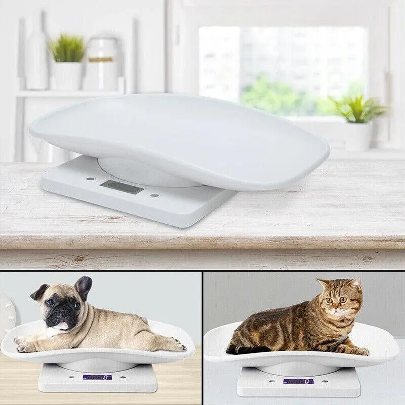 10Kg Digital LCD Pet Weight Scales for Efficient Management