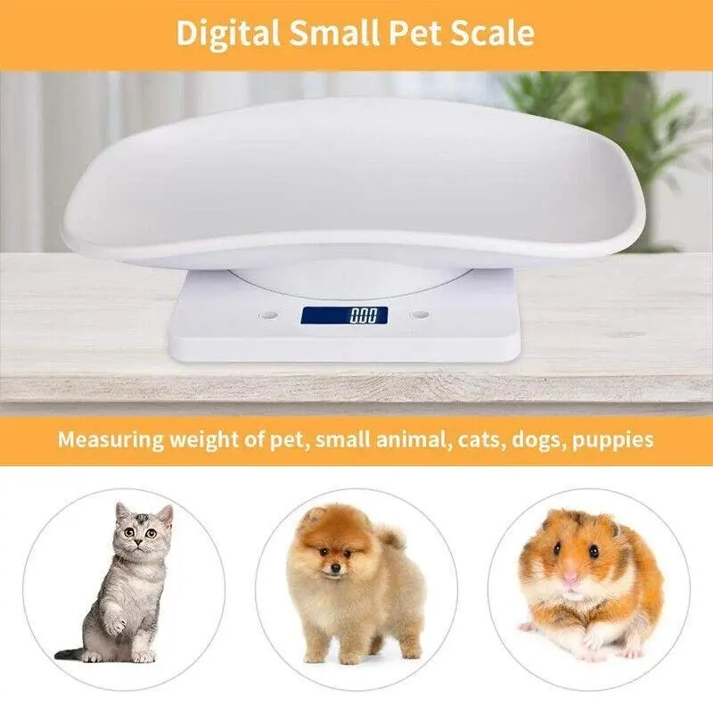 10Kg Digital LCD Pet Weight Scales for Efficient Management