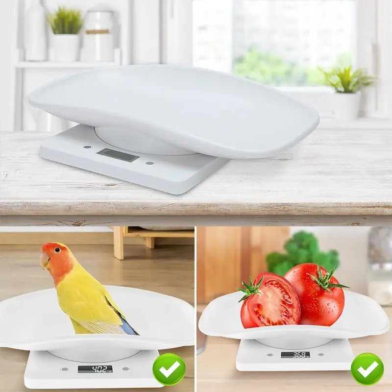 10Kg Digital LCD Pet Weight Scales for Efficient Management