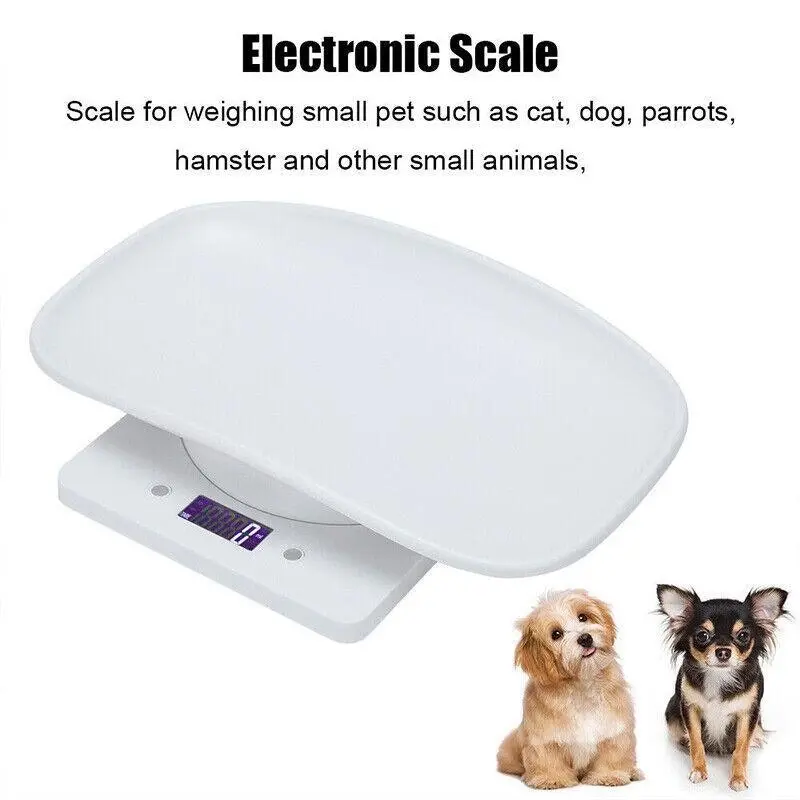 10Kg Digital LCD Pet Weight Scales for Efficient Management