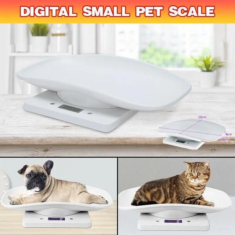 10Kg Digital LCD Pet Weight Scales for Efficient Management