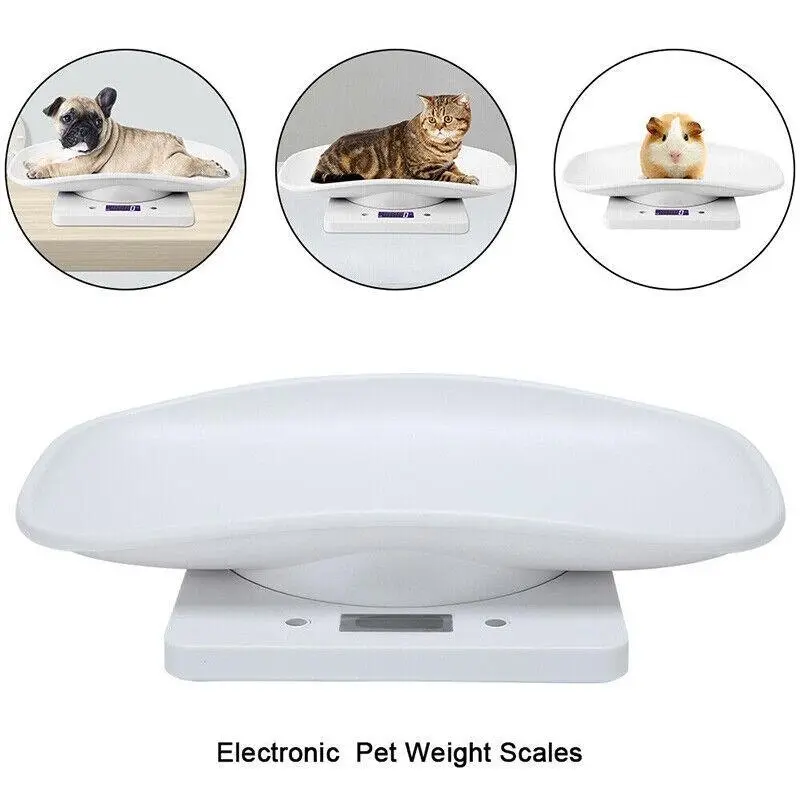 10Kg Digital LCD Pet Weight Scales for Efficient Management