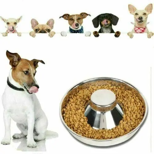 Feeder Bowl Stainless Dish Puppy Dog Pet Cat Litter Food Feeding Weaning Home Au