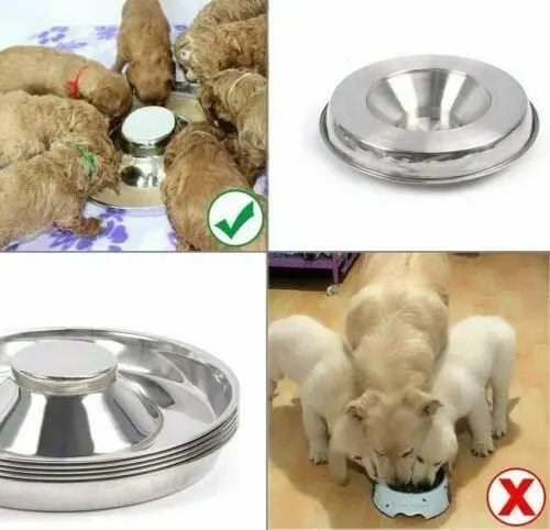 Feeder Bowl Stainless Dish Puppy Dog Pet Cat Litter Food Feeding Weaning Home Au