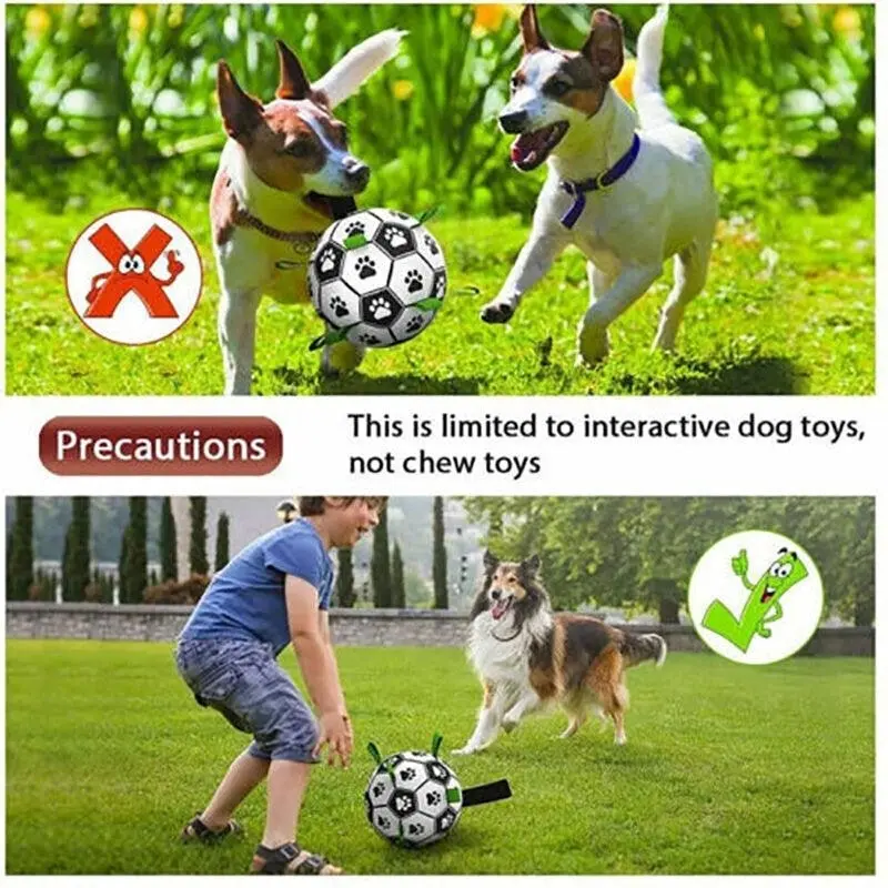 Interactive Pet Football Dog Toys Grab Tabs Outdoor Training Soccer Chew Balls